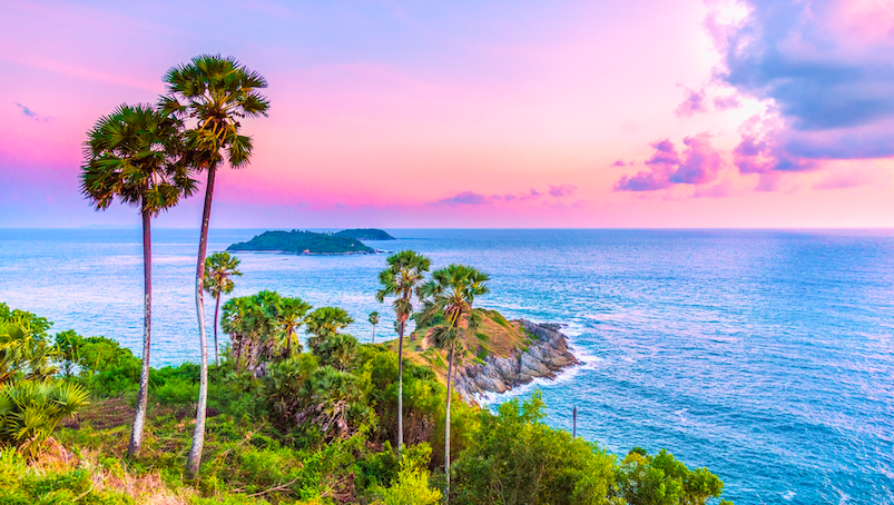 Screen Shot 2567-10-08 at 03.24.16