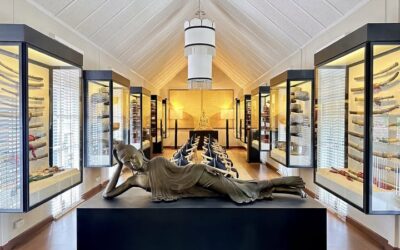 492463515_1260097515923409_8225978359060302510_n