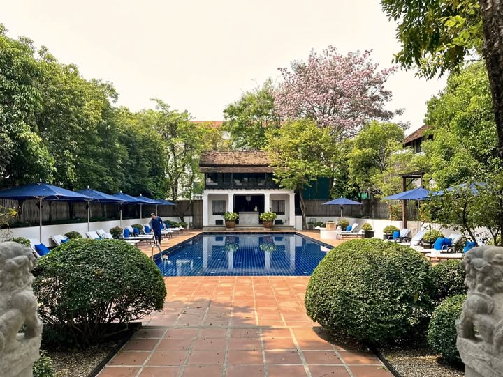 493973768_1264754835457677_405226544295375881_n