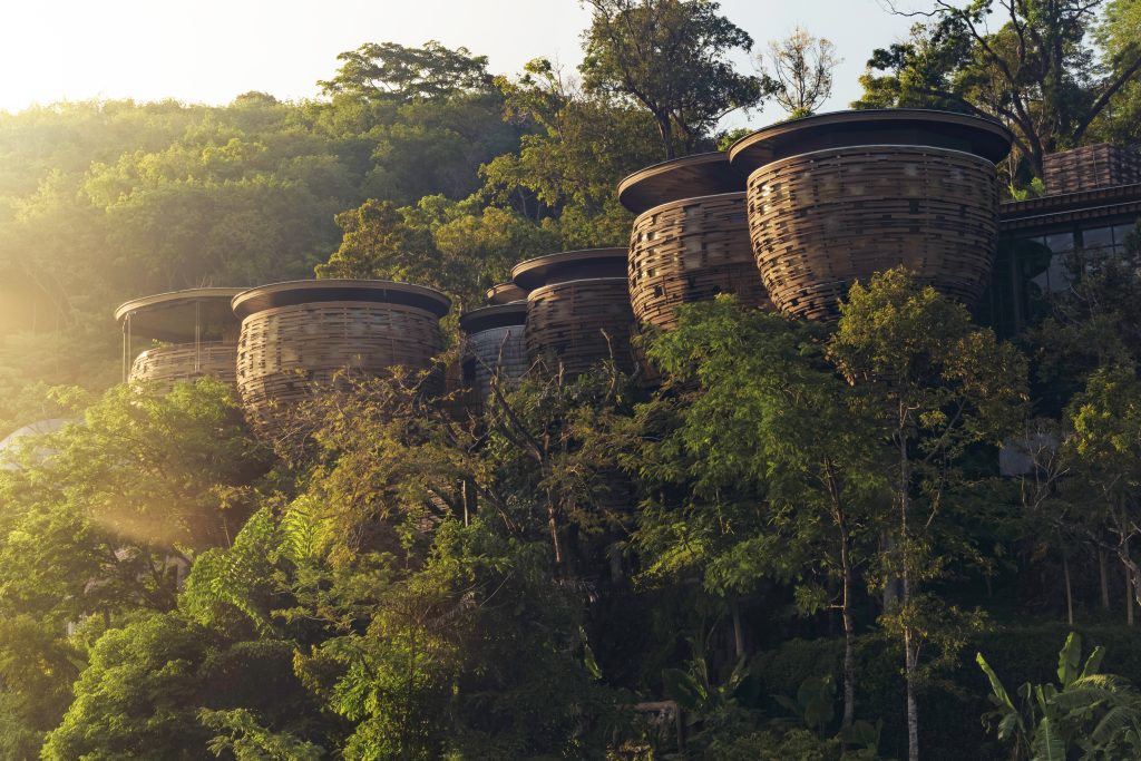EDIT_Keemala Tree Towers at Sunrise