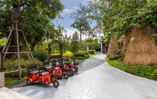 Eco-Friendly Activity(Free of Charge)